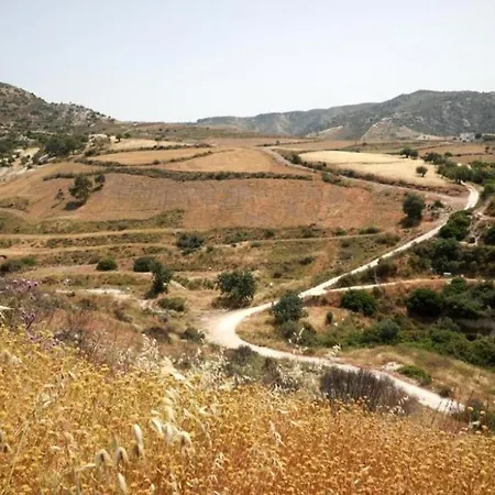 Panoramic Holidays - Premium 9 Lejlighed Pegeia