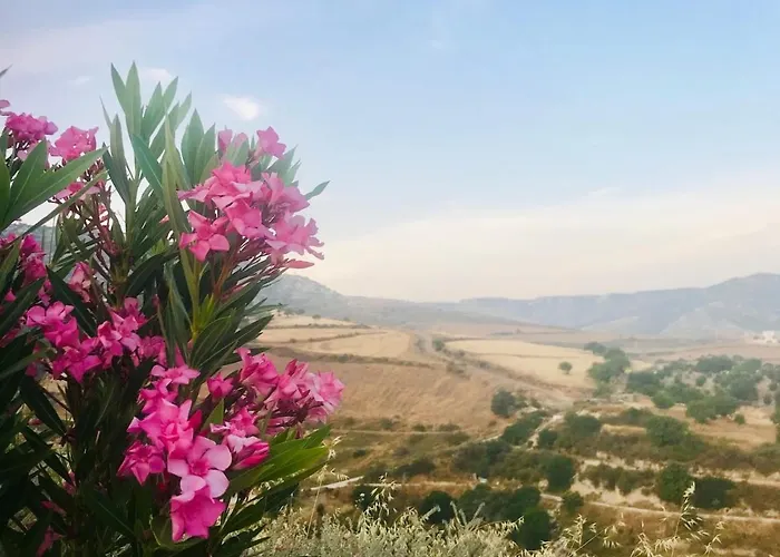 Panoramic Holidays - Premium 9 Lägenhet *